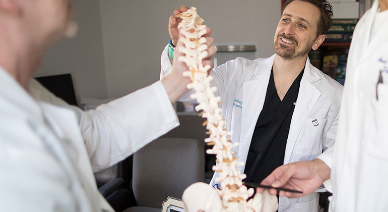 Doctors looking at model spine