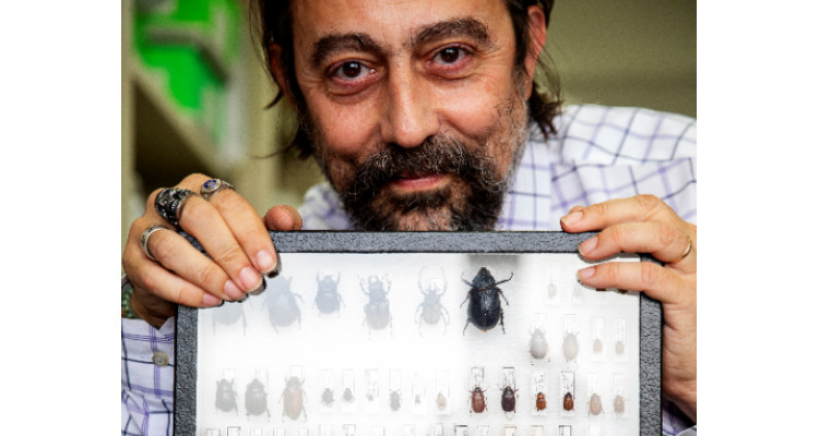 Dr. Garcia-Sastre with some of his bug collection.