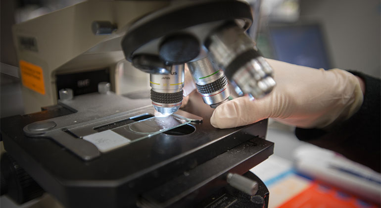 Doctor adjusting microscope