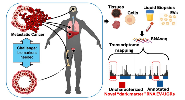 Nanotechnology