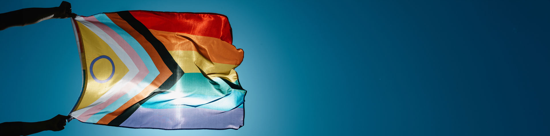 Image of pride flag